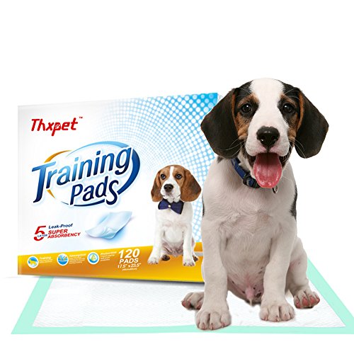 Thxpet Puppy Training Dog Pee Potty Pet Piddle Pads Super Absorbent Leak-Proof (17.5" 23.5"-120 Count)