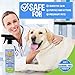 Bodhi Dog Waterless Shampoo for Dogs & Cats - Natural Dry Shampoo, Neutralizes Odor, No Rinse Needed, Safe for All Breeds - Made in USA - Lemongrass Scent (17 Fl Oz)
