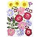 WZHrb Les Fleurs pressées séchées réelles Laisse des pétales d'artisanat, de résine, de Fleurs de séchage colorées pour Les décors Floraux d'art (Color : F)
