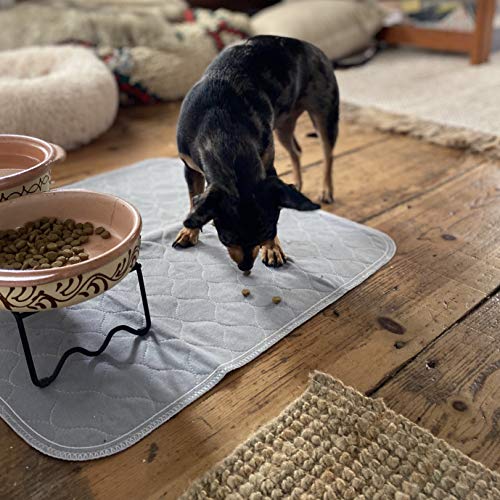 image for rocket & rex Washable Pee Pads for Dogs | Reusable Puppy Pads and Pidd