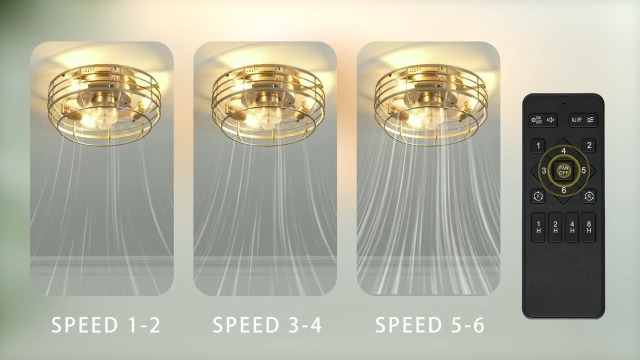 Youroke Caged Ceiling Fan with Light and Remote, Flush Mount Fan