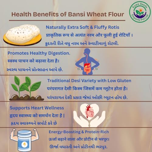 Image of Eywa Seeds & Exports Pvt Ltd Organic Bansi Bhaliya Wheat Flour (5 Kg) For Eating And Cooking |Bansi Bhaliya Daane Atta Produce Of India From Organic Farms |