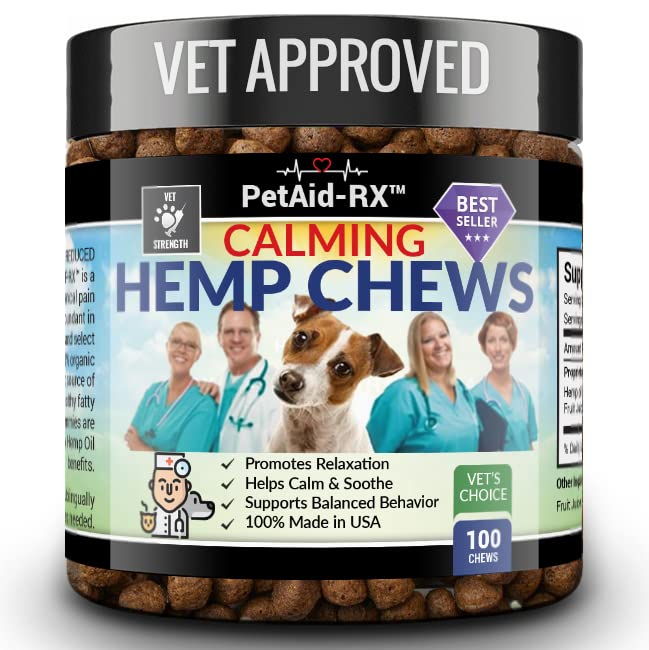 10 Vet-Approved Dog Treats Your Pup Will Beg For - Plus Buying Tips ...