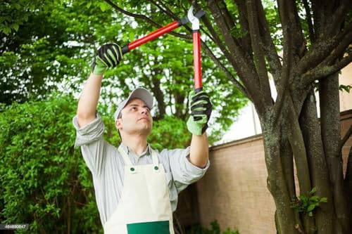Image of Professional Tree Lopper | Heavy Duty Garden Cutter with Hardened Steel Blades | Long Handle Branch Pruner for Shrubs, Fruit Trees & Thick Branches