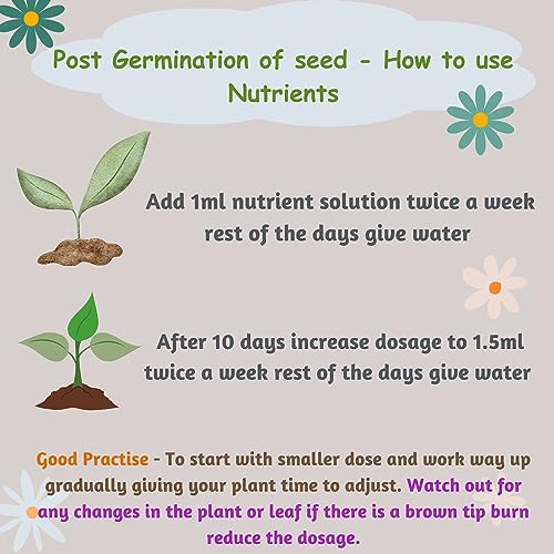 City Greens Seed Starter Kit for 15 Plants (Seeds, Cocopeat, Clay Pebbles, Net Pots, Instruction Set, Nutrient Enriched, Neem Oil Treated)
