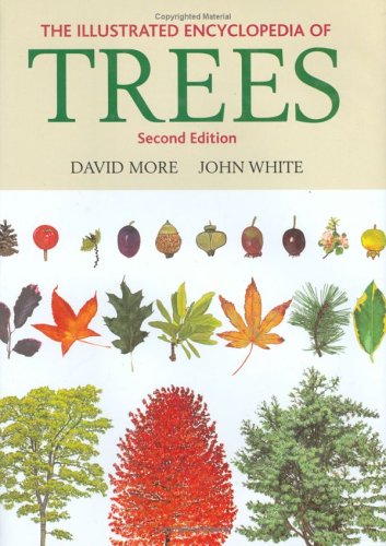 The Illustrated Encyclopedia Of Trees The Illustrated Encyclopedia Of Trees