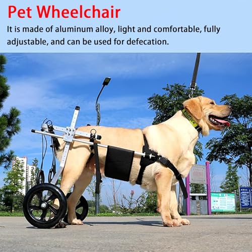Fauteuil roulant chien réglable rééducation membres postérieurs