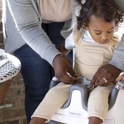 Ingenuity Baby Base 2-in-1 Booster Feeding and Floor Seat with Self-Storing Tray - Peony - image 9