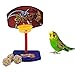 Keersi Mini Canasta intelectiva de Baloncesto para Ave, Juguete de Entrenamiento para Loro, Guacamayo, Gris Africano, cacatúa o Periquito