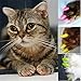 20pcs Soft Cat Pet Nail Caps Claw Control Protector Cap + Adhesive Glue Red Size M