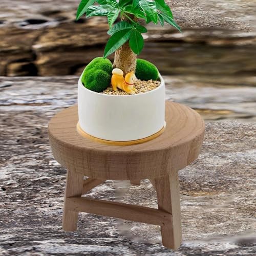 Support rond en bois pour plantes de salon protège parquet et sol - 5