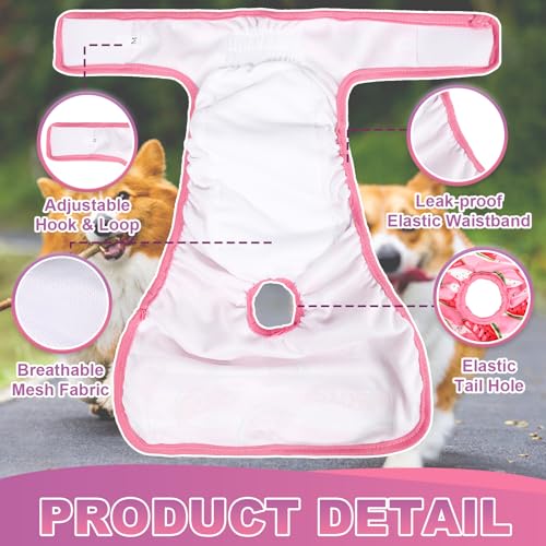 Image of XPCARE Reusable Dog Diapers - 2 Packs Absorbent, Leak-Proof for Female Dogs (Medium)