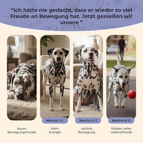Gelenktabletten für Hunde – 120 Tabletten – 13-Fach Wirkstoffkomplex mit Grünlippmuschel & MSM – entwickelt mit Tierärzten, laborgeprüft, zum Patent angemeldet, Made in Germany – Einführungspreis