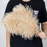 Les plumes artisanales conviennent parfaitement aux projets d'artisanat, boucles d'oreilles, colliers, pendentifs, décorations de festival, vêtements et chapeaux, arrière-plans, nappes, cartes de table, bâtons de chat intéressants, etc., peuvent effectuer diverses tâches d'artisanat de bricolage