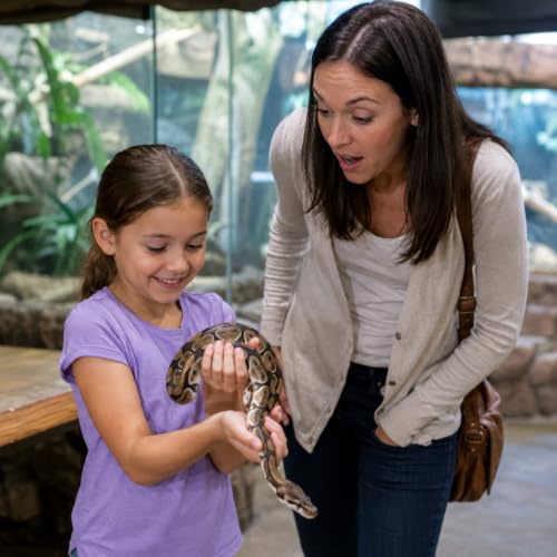 31 - Your Child Wants a Snake and You Don't Like Them