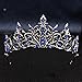 Black Blue Gothic Crystal Crown for Women, Midnight Elegance Rhinestone Tiara, Cool-Tone Baroque Headpiece for Adult Cosplay, Prom Party, Fashion Photography & Themed Events