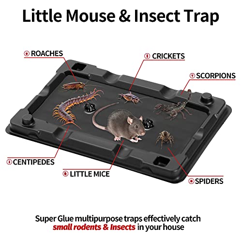 LULUCATCH Mouse & Insect Traps 12 Pack, Heavier Sticky Traps with Non-Toxic Glue for Small Mice & Insects. Sticky Mouse Traps Indoor, Easy to Set, Pet Safe Pest Control