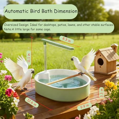 Bain d'oiseaux automatique pour stimuler l'instinct de bain des perruches stressées