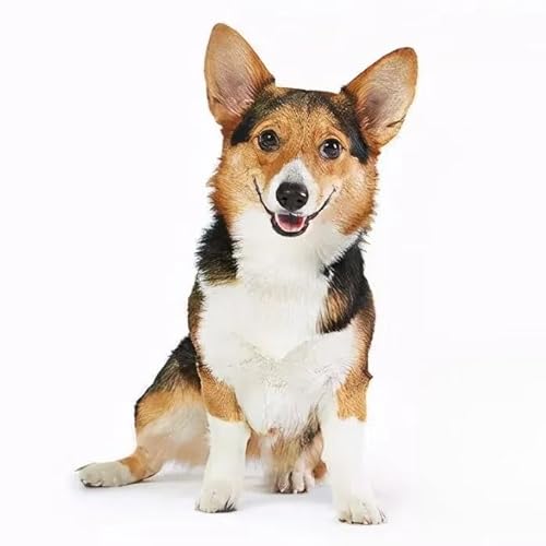 XZYSD�Ў�� �}���`�|�b�g �~���N�p�� �� ih�Ή� ���� �~�j�X���[���~���N�|�b�g �X�e�����X�|�Ɍ��X�[�v�|�b�g IH�Ή� ������ �x�r�[�t�[�h�T�v�������g�|�b�g �X���[���N�b�L���O�|�b�g �C���X�^���g���[�����|�b�g �����̃X�g�[�u�ɑΉ� (14cm