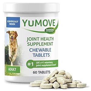 Hip and Joint Supplement for Dogs with Glucosamine, Chondroitin, MSM, Omega 3, Hyaluronic Acid, & Green Lipped Mussel – Dog Joint Supplement – for Adult Dogs 60 Tablets
