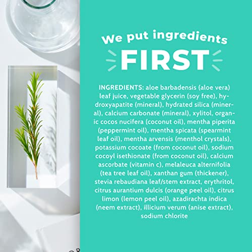 Dr. Brite Mint Natural Whitening Toothpaste With Activated Coconut Charcoal And Vit C, Mint, 5 Ounce (Trtaz11A) #TOP1