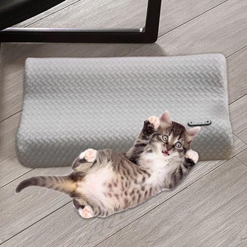 Fecadou Travesseiro para cães, travesseiro para gato, Pillow calmante de cachorro pequeno, Máquina l