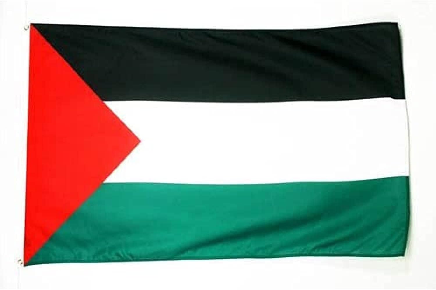 AZ FLAG - Flag of Palestine - 3x5ft - Light Polyester Palestine Banner with 2 Brass Eyelets - Fade Resistant - Vibrant Colors - 3' x 5' - 150x90cm