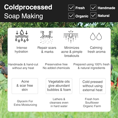 Image of Soulflower Aloe Vera Soap - Handmade, 100% Pure, Natural & Cold processed Grade 1 BIS Standard Premium & Luxurious Soap with Essential Oils, Exotic Herbs & Aroma, 150g