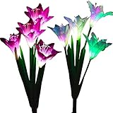 Einfach zu bedienen: Einfach in den Boden stecken und halten Sie das Solarpanel in einer guten Position, um die maximale Sonneneinstrahlung zu erhalten.Automatisch leuchtet im Dunkeln, um Ihren Garten und Weg zu beleuchten. Keine Verkabelung oder externe Elektrizität benötigt für den Einsatz, die Höhe beträgt ca. 70cm (27,56 Zoll).