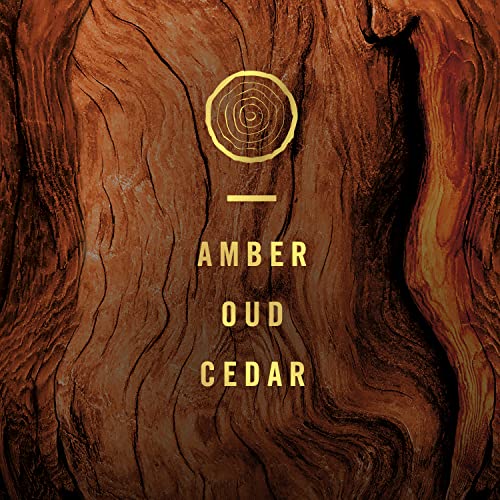 Image of Febreze Origins Fade Defy PLUG Air Freshener & Odor Fighter, Wood, (2) .87 fl. oz. Oil Refills Cranberry