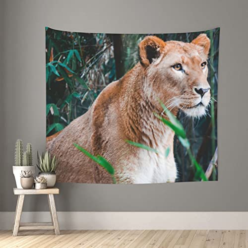 Tapisserie imprimée lion décoration murale esthétique salon chambre 152 x 130