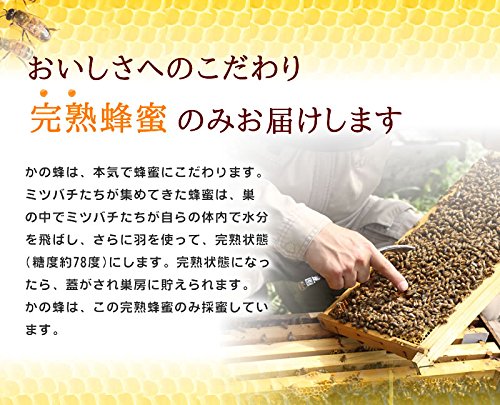 かの蜂 国産みかん蜂蜜 1000g