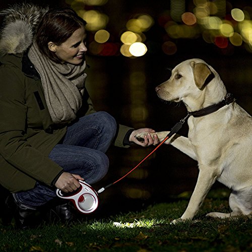 Lanterna Led FLEXI para Cães, Preta, Médio