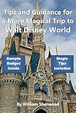 Tips and Guidance for a More Magical Trip to Walt Disney World (English Edition)