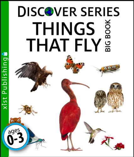 Things that Fly Big Book (Discover Series) (English Edition)