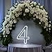 LED Neon Signs Number 4 Birthdays Decor Neon Lights Party USB Plus Battery Case Light up your baby's birthday with our Neon Number Four Sign (Number 4)