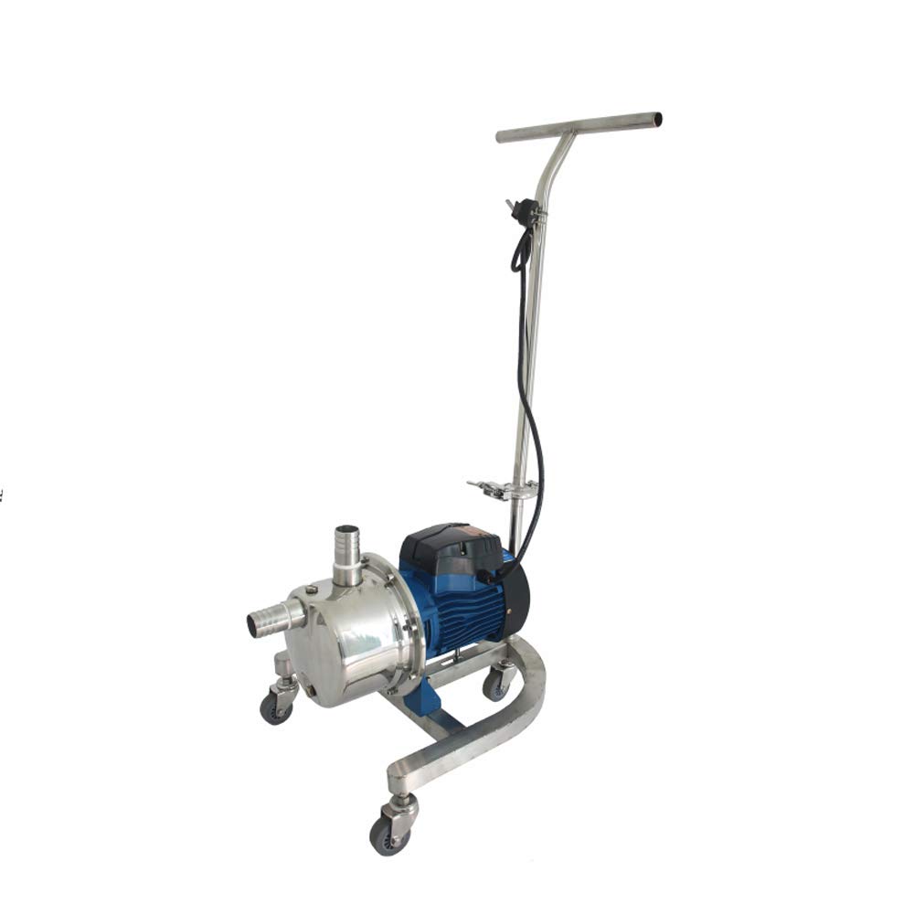 Fayelong Elektrische 750W Hydraulikpumpen für Lebensmittel Qualität Körner Hydraulische Wasserpumpe 304 Edelstahl Pumpe Mobil Abnehmbar