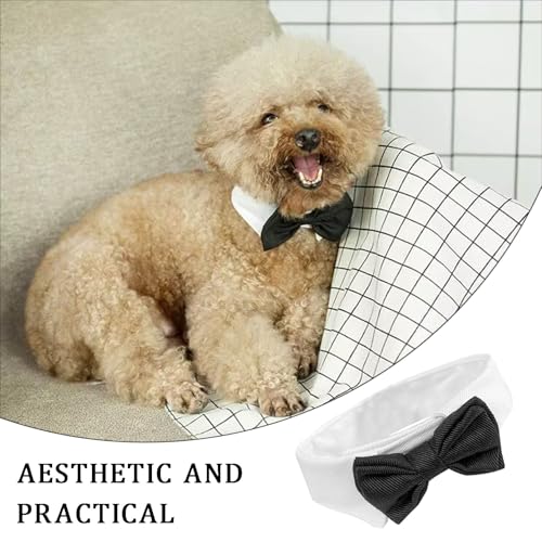 Fliege Hund,Fliege für Hund Hochzeit,Hundefliege,Hunde Fliege Hochzeit,Formelle Hundehalsband,Verstellbares Halsband Halsketten für kleine Hunde bei Hochzeitsfeiern und Geburtstagsfeiern Schwarz (S)