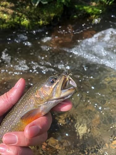 Synthfly Lifelike Mayfly Pack Of 8 Mayflies For Fly Fishing (Gray & Brown Drake In Sizes 10, 12, 14 And Danica In Sizes 10, 12) #TOP7