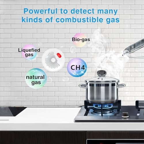 Image of Ledgebit Smart Zigbee Gas Leak Sensor - Wireless Natural Gas & LPG Detector with App Alerts, Voice Control & Remote Monitoring | Zigbee Bridge-Hub Required