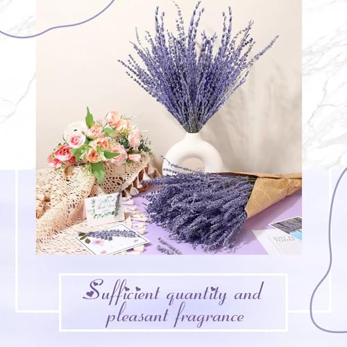 8 Ramilletes de Lavanda Secada Natural 16 Pulgadas miniatura 3