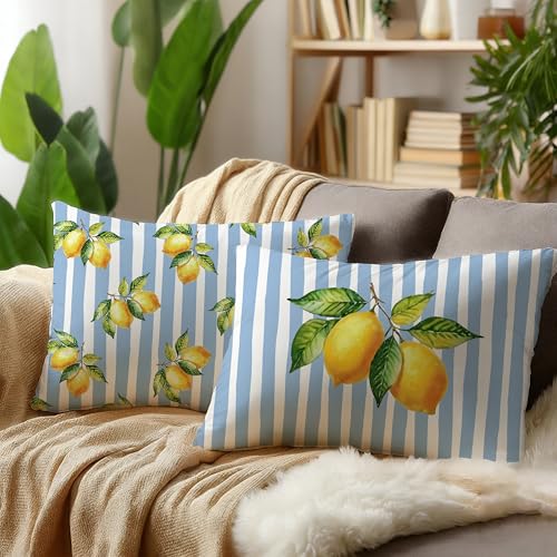 Image of Striped Blue and Yellow Summer Italian Mediterranean Amalfi Coast Lemon Pillow Cover Decor 12x20,Italian Decorative Throw Pillow Cover Decor for Couch Double-Sided Set of 2