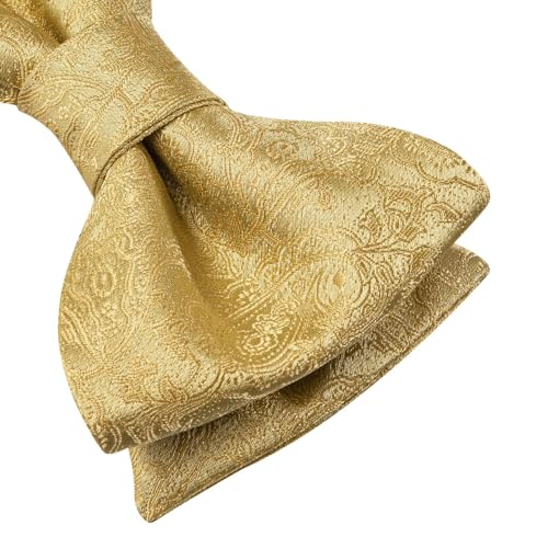 Image of Dubulle Self Tie Bow Ties and Lapel Pin for Men Paisley Solid Mens Bowtie and Handkerchief Cufflinks Set Wedding
