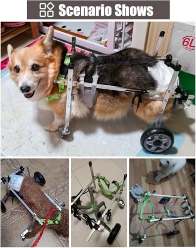 Chariot de mobilité pour animaux de compagnie après blessure - Fauteuil XS réglable