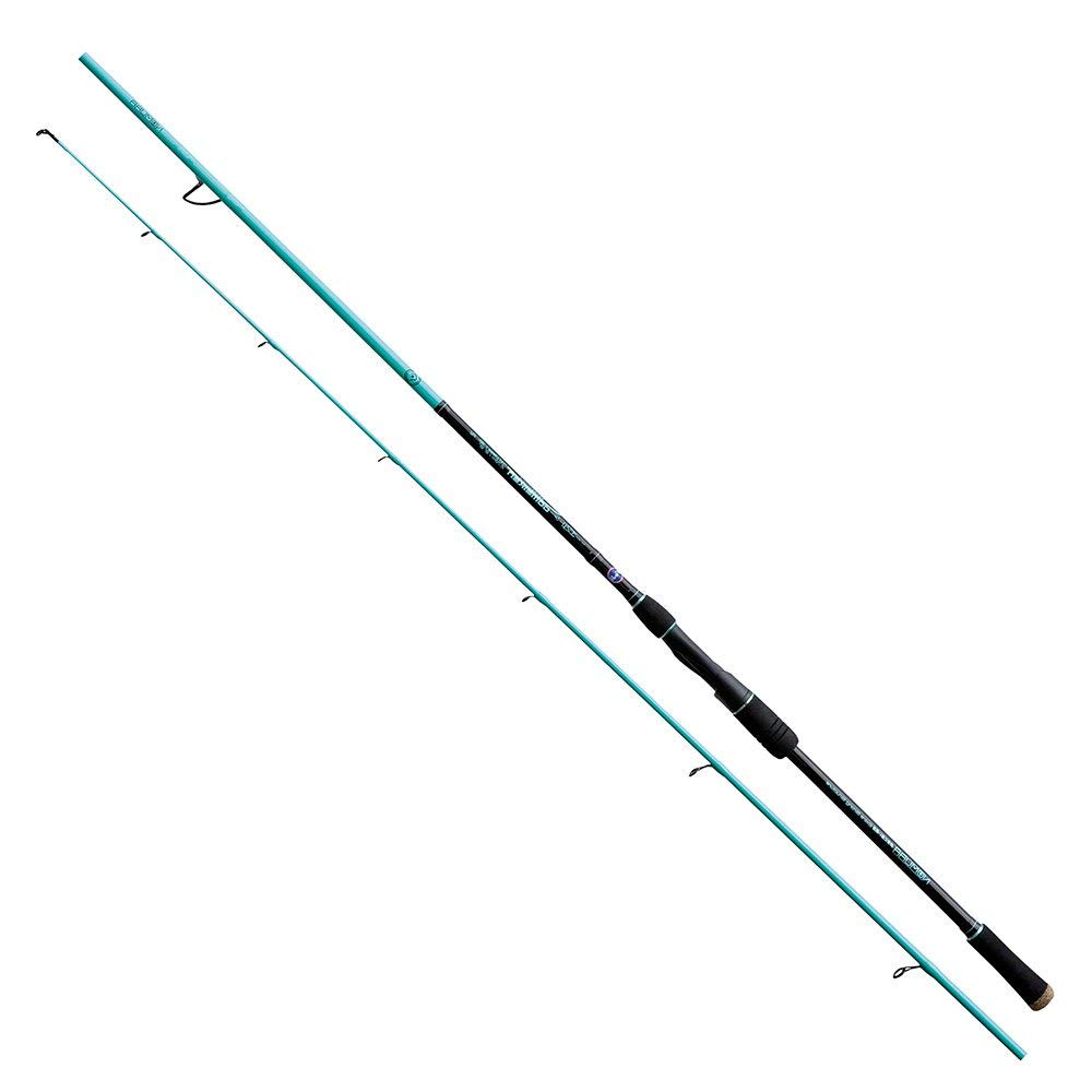 NOMURAIZU SW Gomeiken Spinning Rod: Gomeiken 2.40m 20-60g