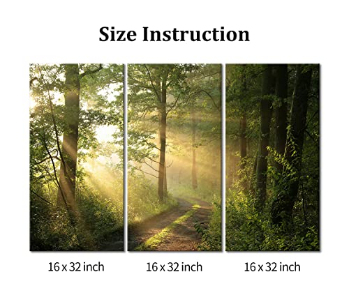 My Easy Art- Tree Wall Art Decor Sunshine Through Forest And Road Canvas Pictures Artwork 3 Panel Nuture Landscape Painting Prints For Home Living Dining Room Kitchen #TOP6