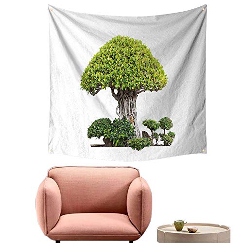 }t[Jb^[ 1jo[T3wrCǑΊp򃌃bht@Co[J[{t@Co[ԃ}t[wbh ɓK JCG rC e[(54 IN 101 OUT)