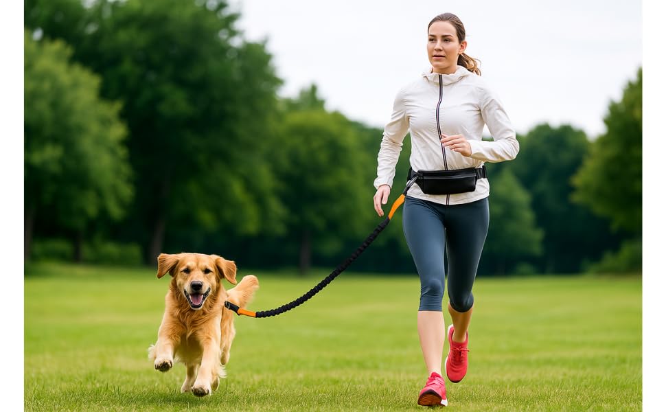 Tomkabo Joggingleine Hund, Freihändige Hundeleine mit Bauchgurt – Joggen, Laufen, Wandern, Spaziergänge, elastisch, stoßdämpfend, reflektierend, mit Tasche, 130-180cm