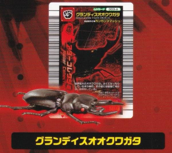 Amazon | 【グランディスオオクワガタ】 甲虫王者ムシキング ムシ