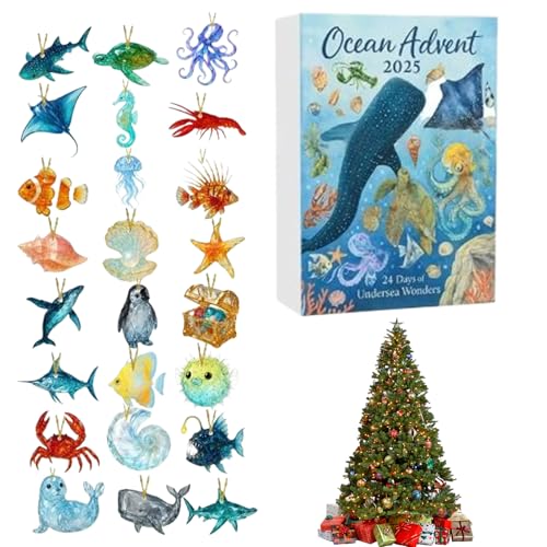 NX}XJEg_EAhxgJ_[ - 2DANzf[p[eB[p - 24ԃNX}XJEg_EJ_[ | c q j̎q ̎q 10 Ƒ wK y